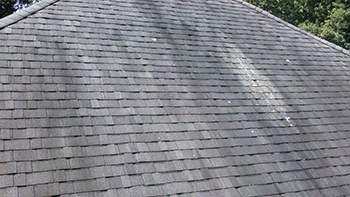 Shingle roof dark streaks