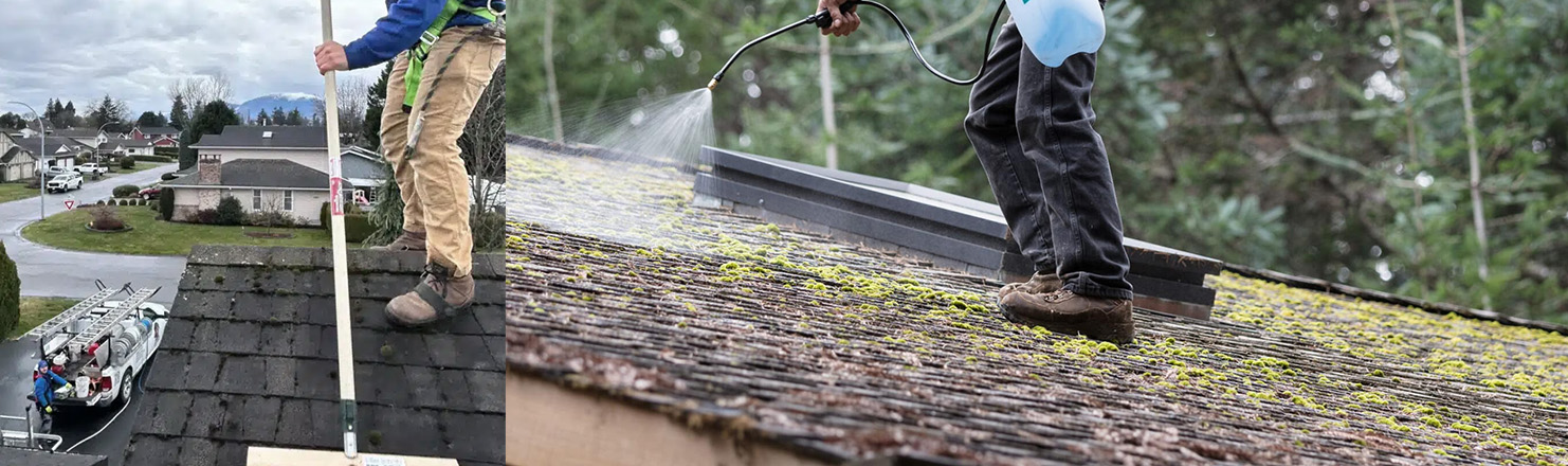 Roof Moss Removal Kelowna, Vernon & Penticton and Okanagan Roof Cleaning